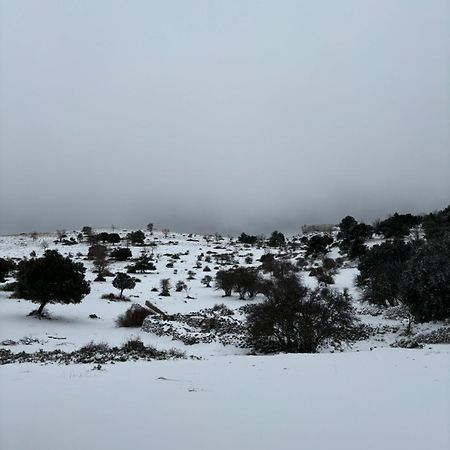 Casa Rural Las Nogueras Caserio Arroyofrio Экстерьер фото