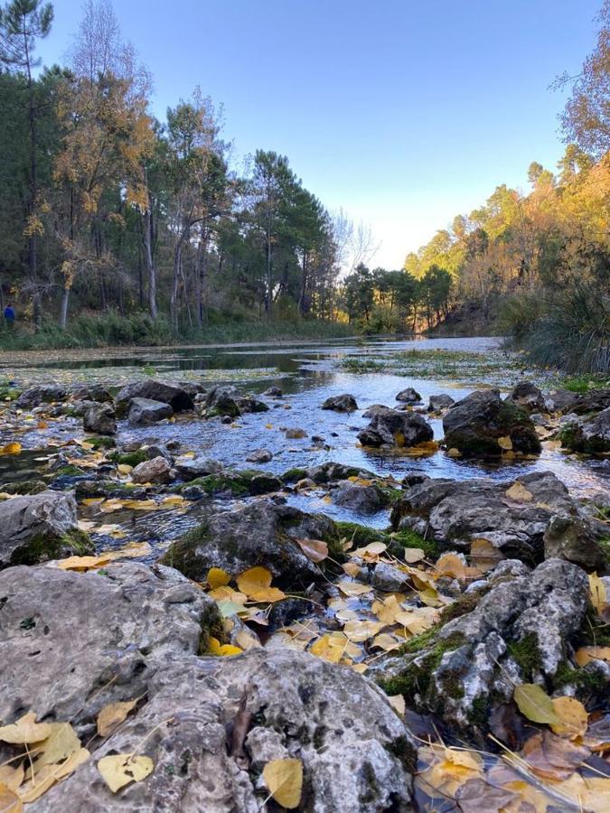 Casa Rural Las Nogueras Caserio Arroyofrio Экстерьер фото