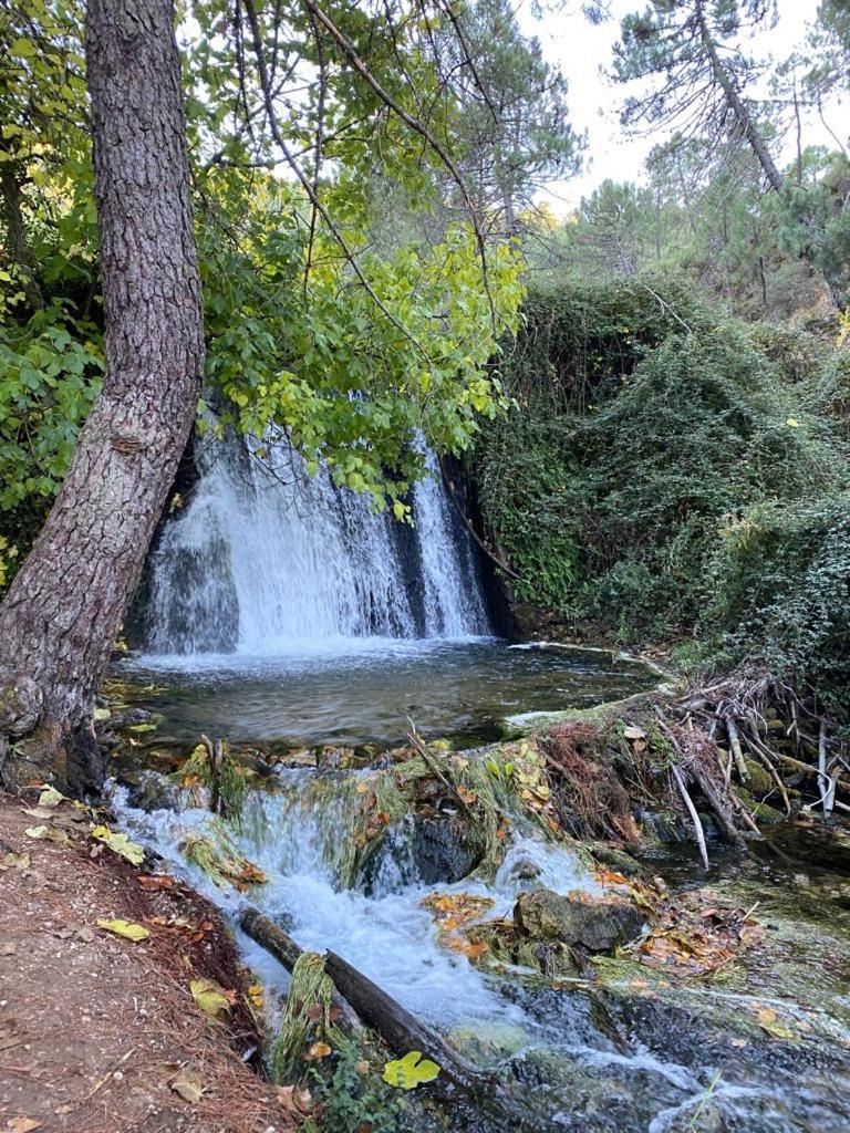 Casa Rural Las Nogueras Caserio Arroyofrio Номер фото