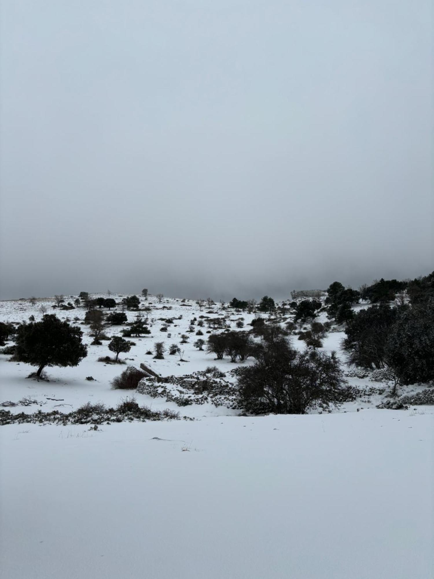 Casa Rural Las Nogueras Caserio Arroyofrio Экстерьер фото